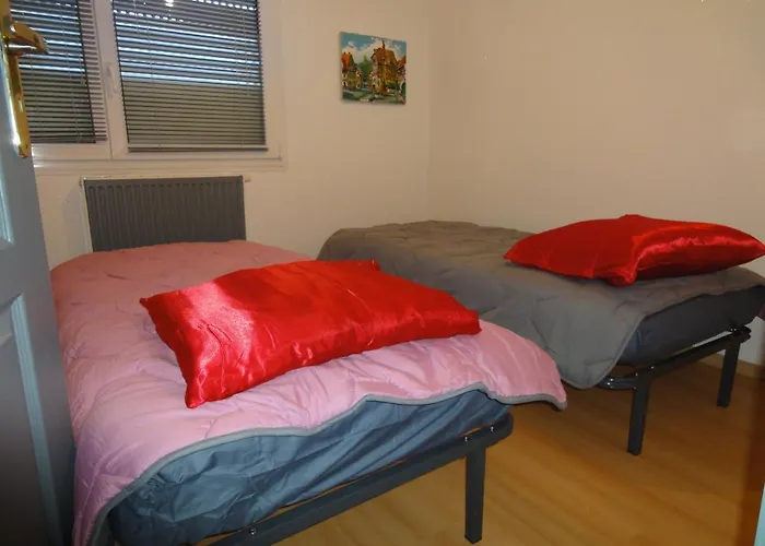 Appartement Apollon Robertsau *